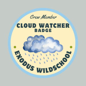 forest school survival homeschool lifeschool unschool nature woods walk path exodus road school cloud watching cloud watcher