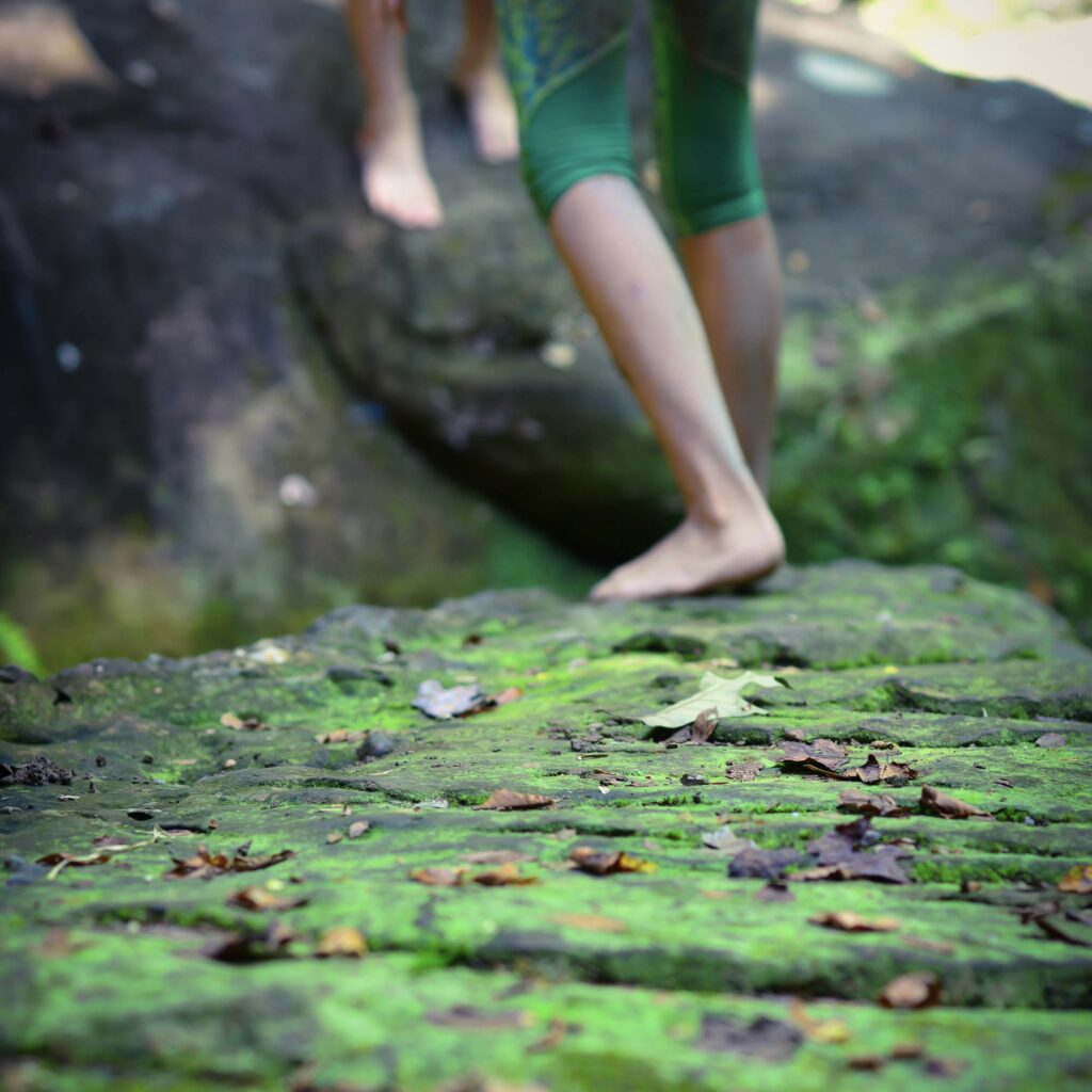 faith and nature curriculum