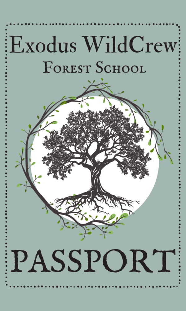 forest school survival homeschool lifeschool unschool nature woods walk path exodus road school