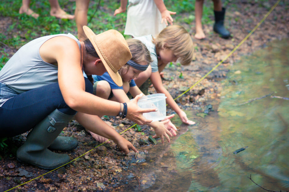 benefits of forest school forest school survival homeschool lifeschool unschool nature woods walk path exodus road school