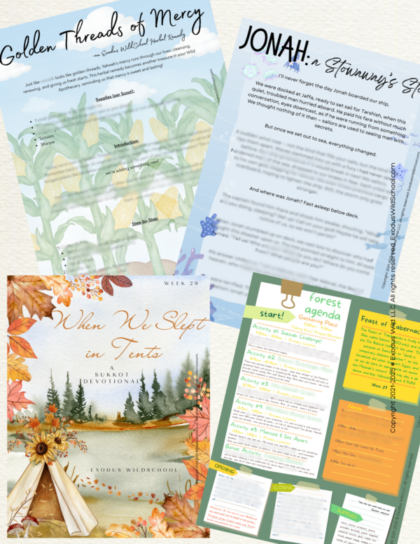 forest school survival homeschool lifeschool unschool nature woods walk path exodus road school bug detective